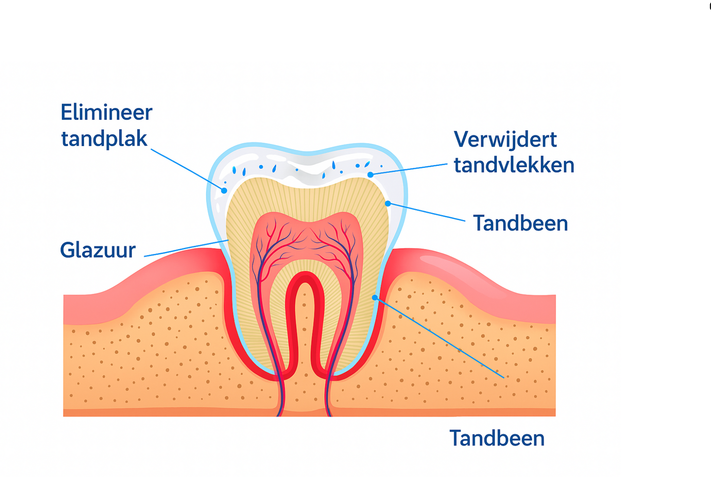 🚀 Toothpop™ – De Krachtige Whitening Pen voor een Stralende Glimlach