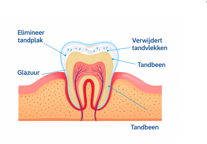 🚀 Toothpop™ – De Krachtige Whitening Pen voor een Stralende Glimlach